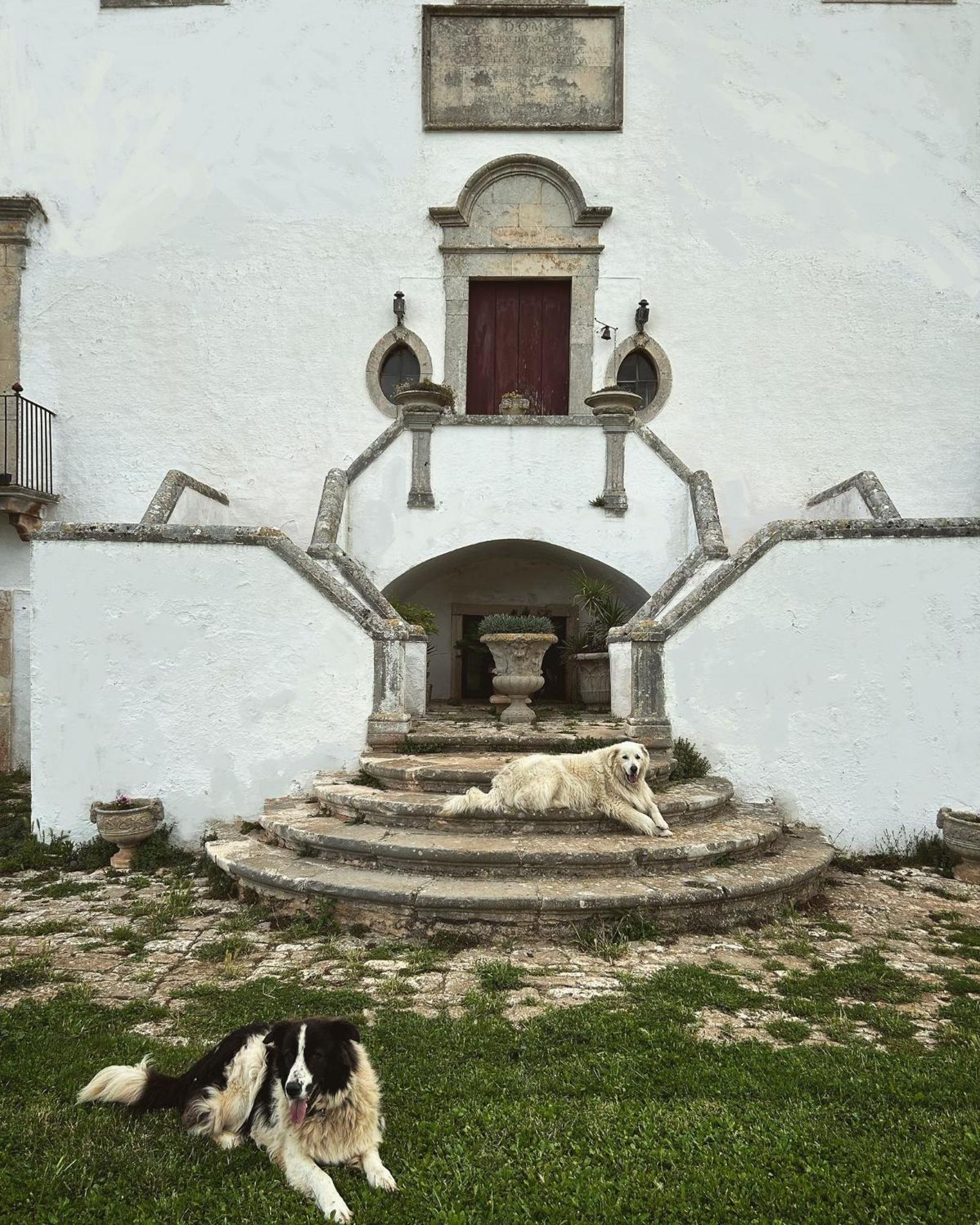 نوتشي Masseria Murgia Albanese المظهر الخارجي الصورة