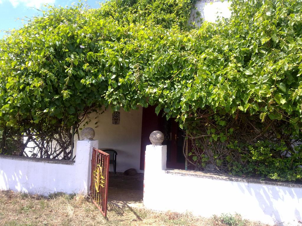 نوتشي Masseria Murgia Albanese المظهر الخارجي الصورة