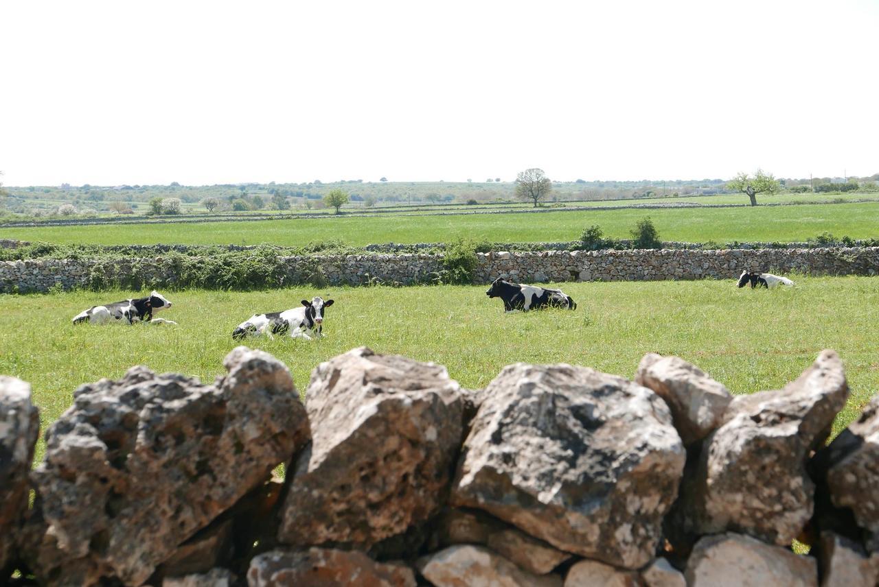 نوتشي Masseria Murgia Albanese المظهر الخارجي الصورة