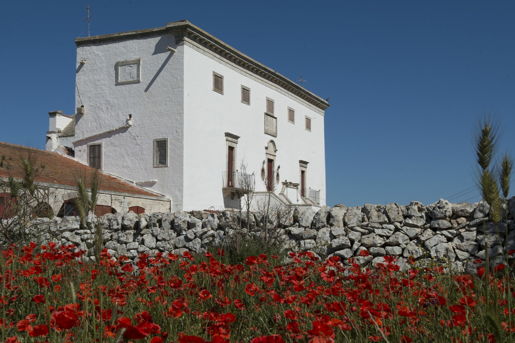 نوتشي Masseria Murgia Albanese المظهر الخارجي الصورة